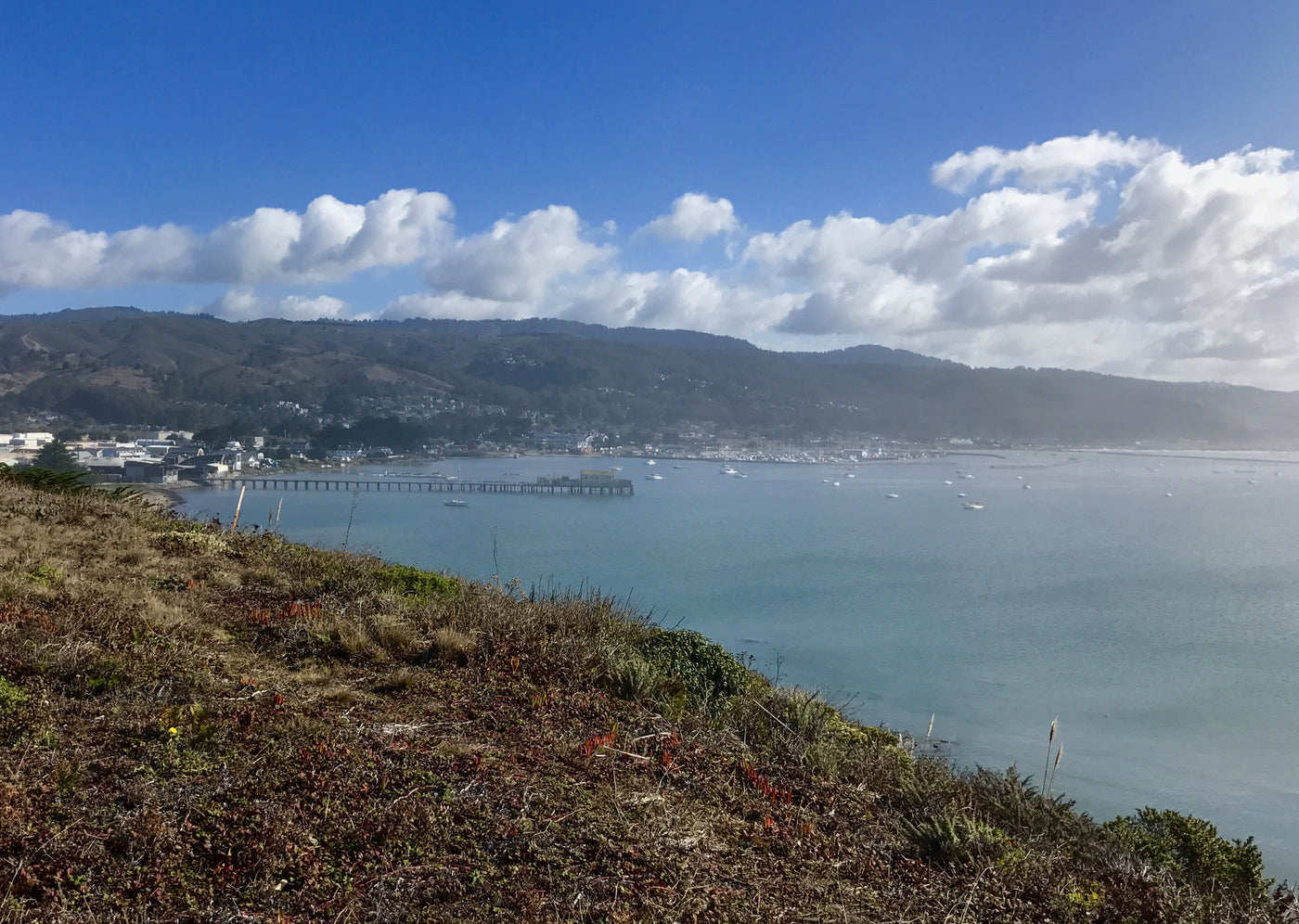 Half Moon Bay Hike