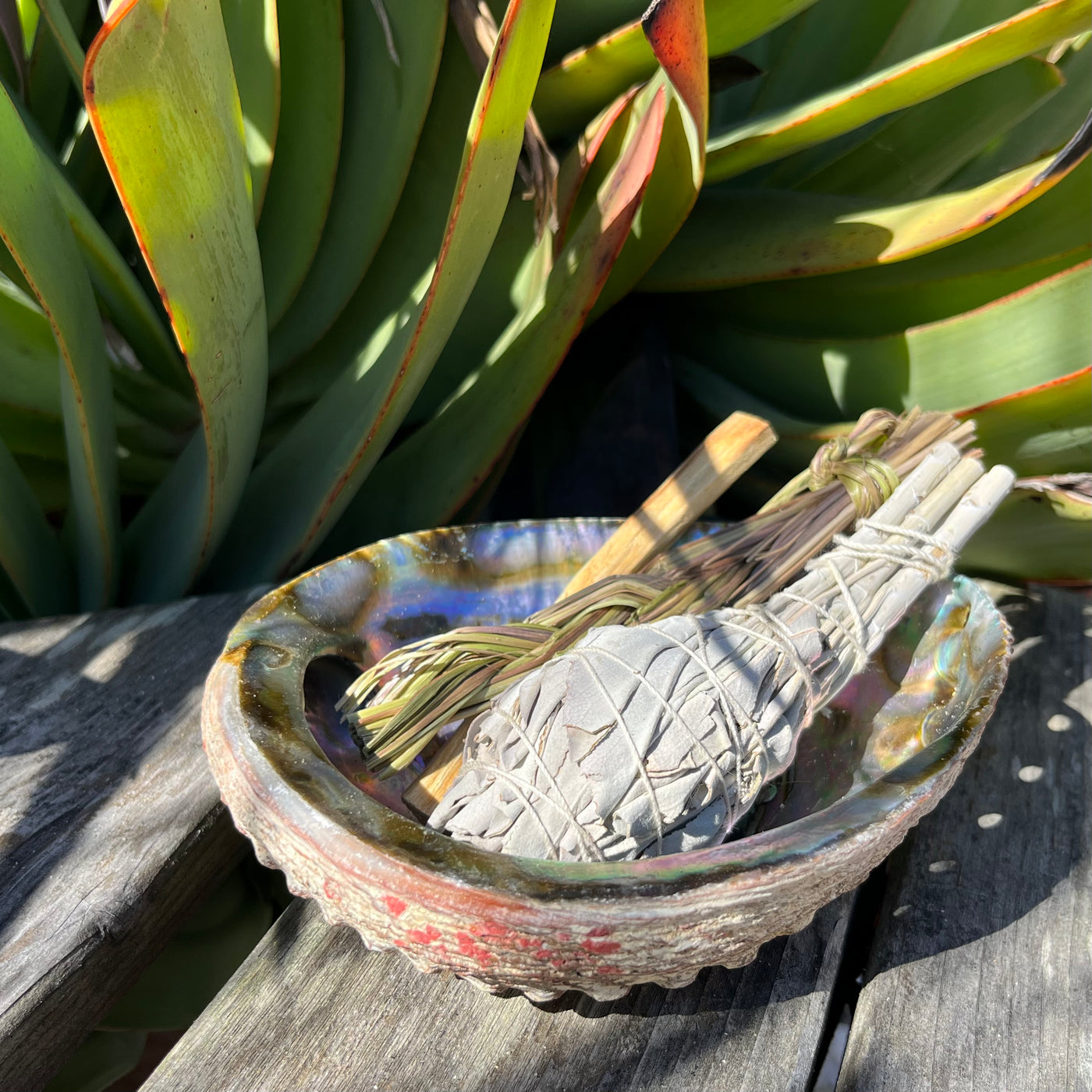 Deluxe Smudge Kit Ii - White Sage, Palo Santo, Sweetgrass in an Abalone Shell