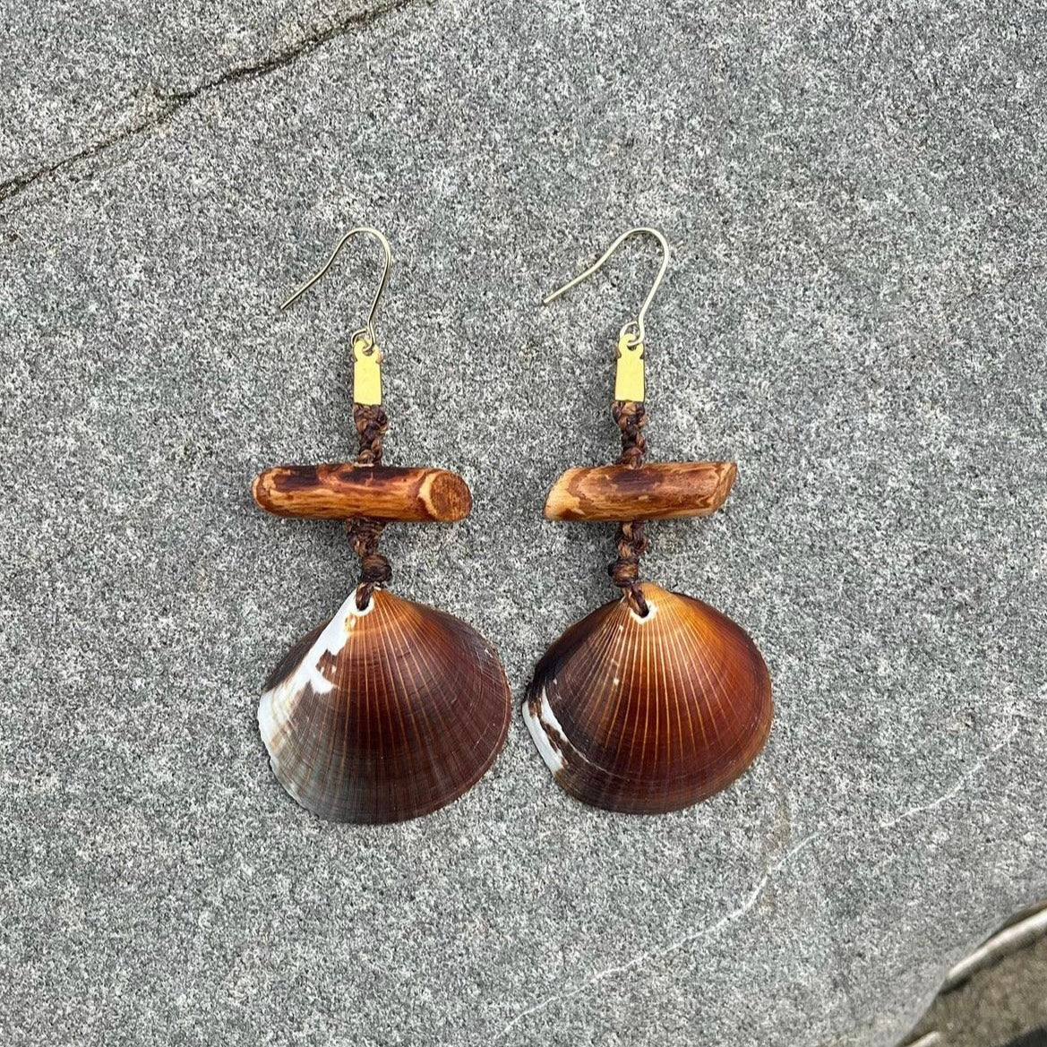 Brown Shell Earrings