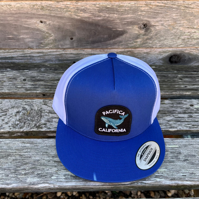 Pacifica Whale Hat