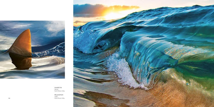 Clark Little: The Art of Waves | Traveler Surf Club