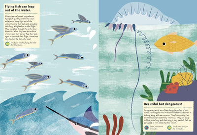 My Nature Sticker Activity : In the Ocean