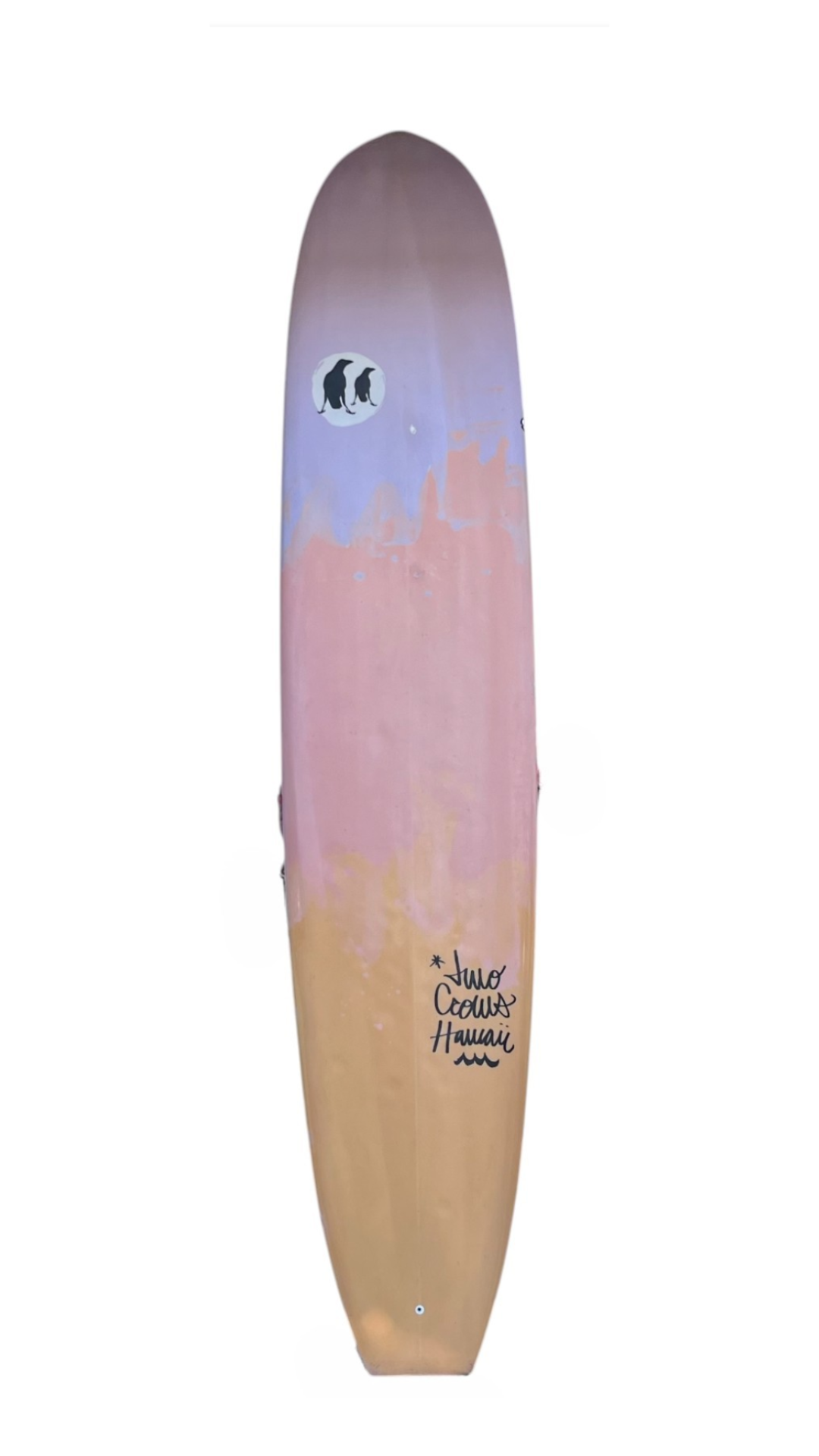 USED 9'7" Two Crows Nose Rider