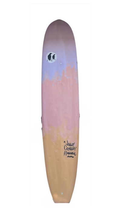 USED 9'7" Two Crows Nose Rider