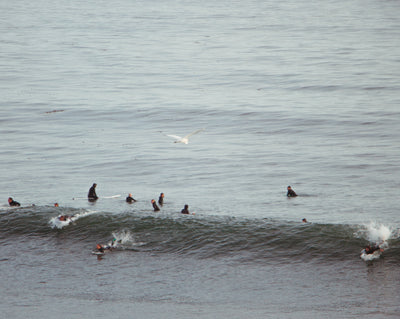 Intermediate Surf Coaching  - Santa Cruz