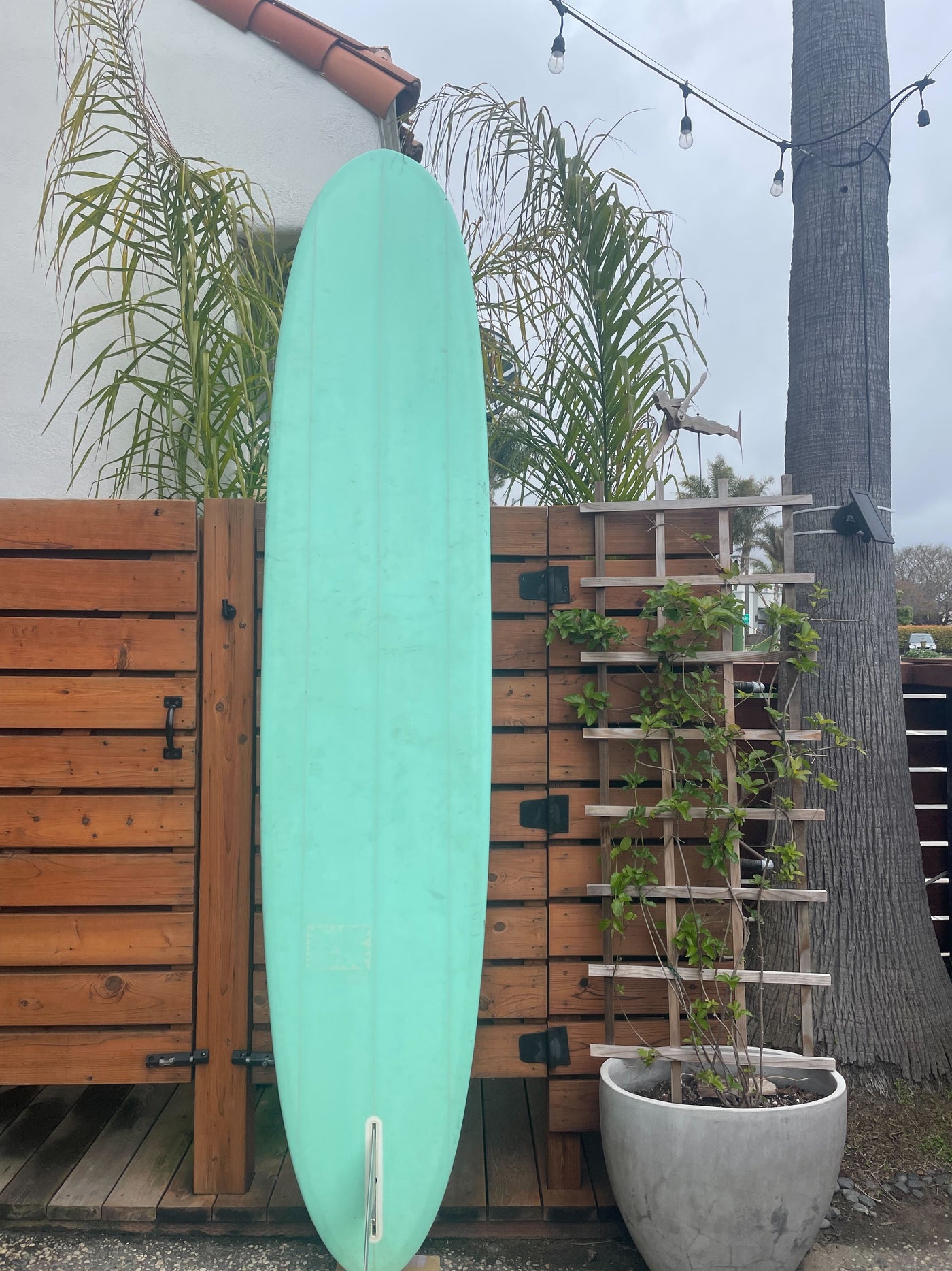Used 10' Classic Pintail