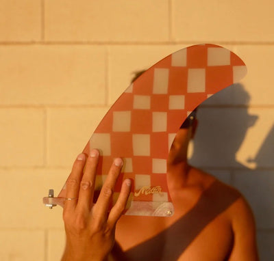 Sunday Picnic - Tracer