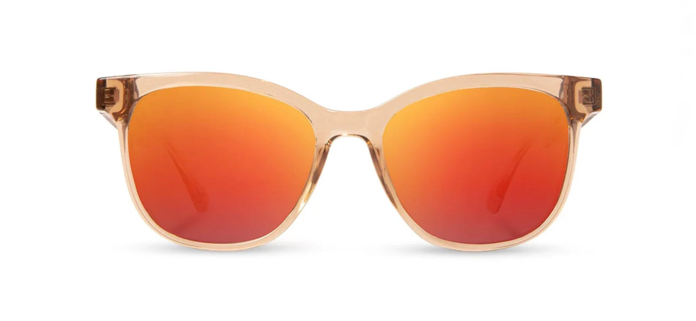 Cove Sunglasses