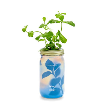 Garden Jars- Herbs
