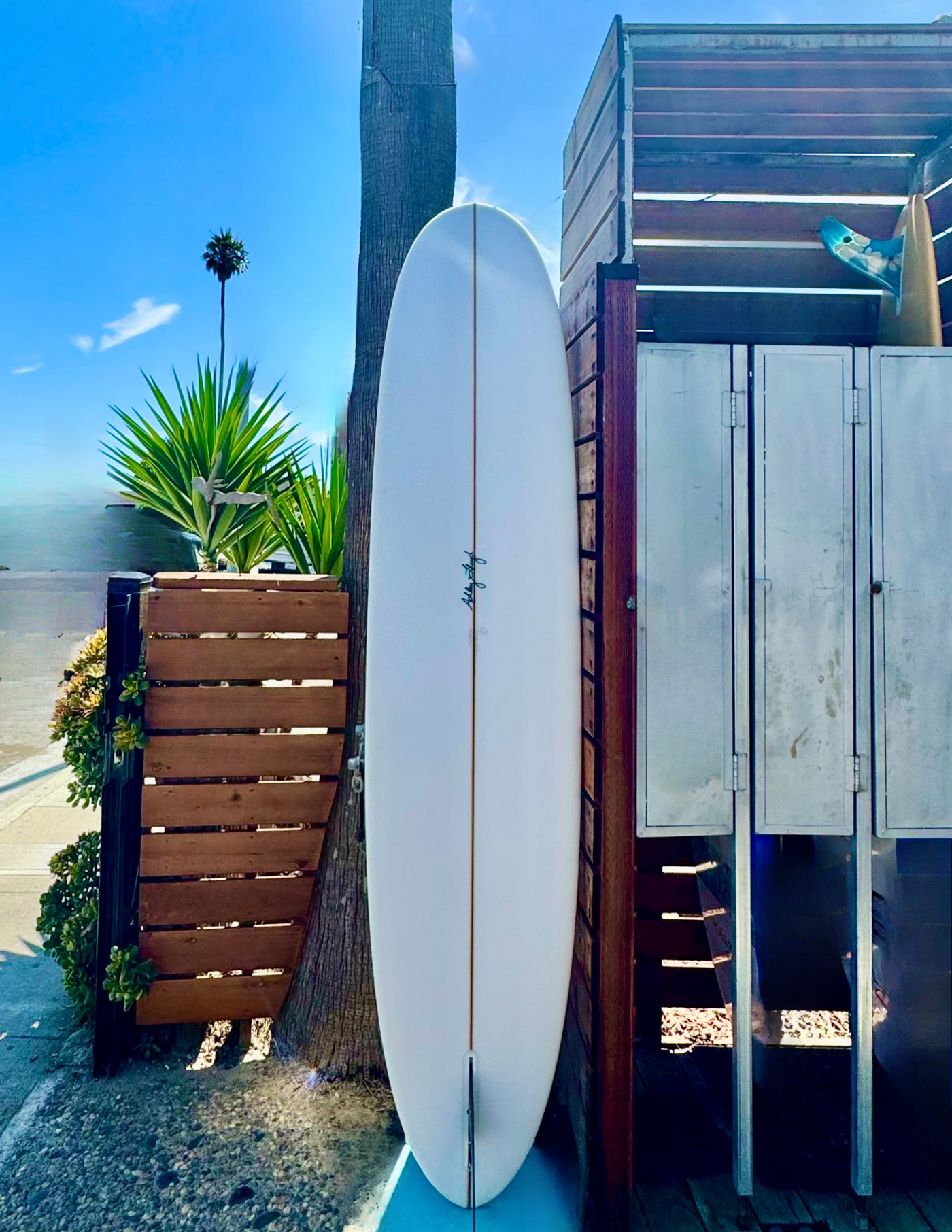 USED 9'1 Ducttape Pintail