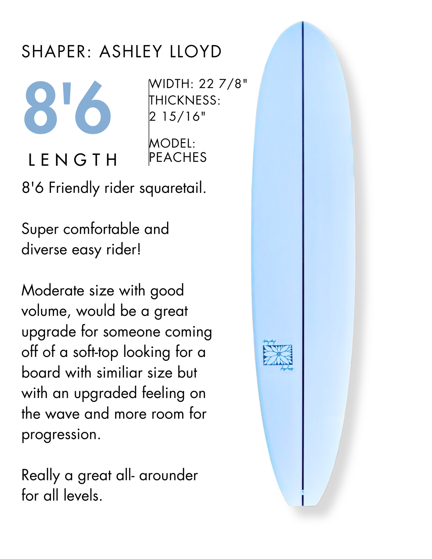 Fiberglass Surfboard Rentals - Santa Cruz