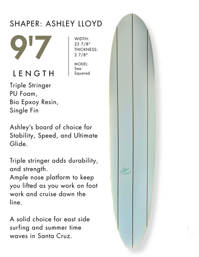 Fiberglass Surfboard Rentals - Santa Cruz