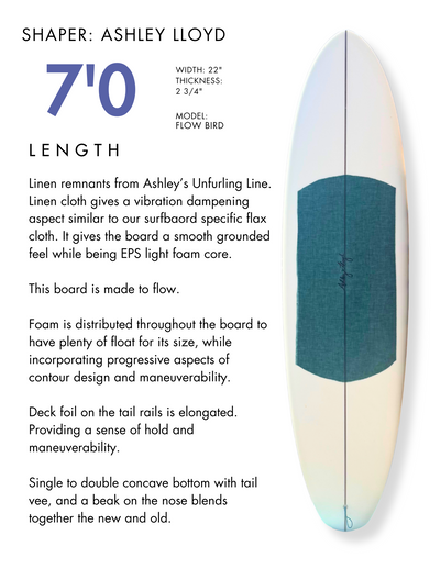 Fiberglass Surfboard Rentals - Santa Cruz