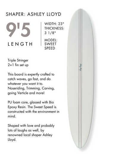 Fiberglass Surfboard Rentals - Santa Cruz