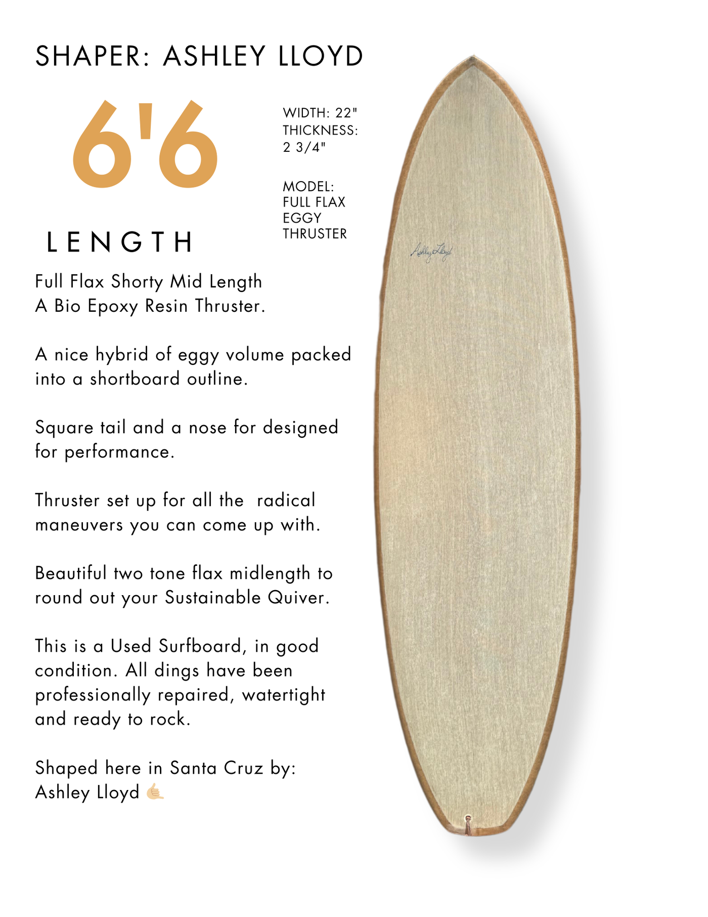 Fiberglass Surfboard Rentals - Santa Cruz