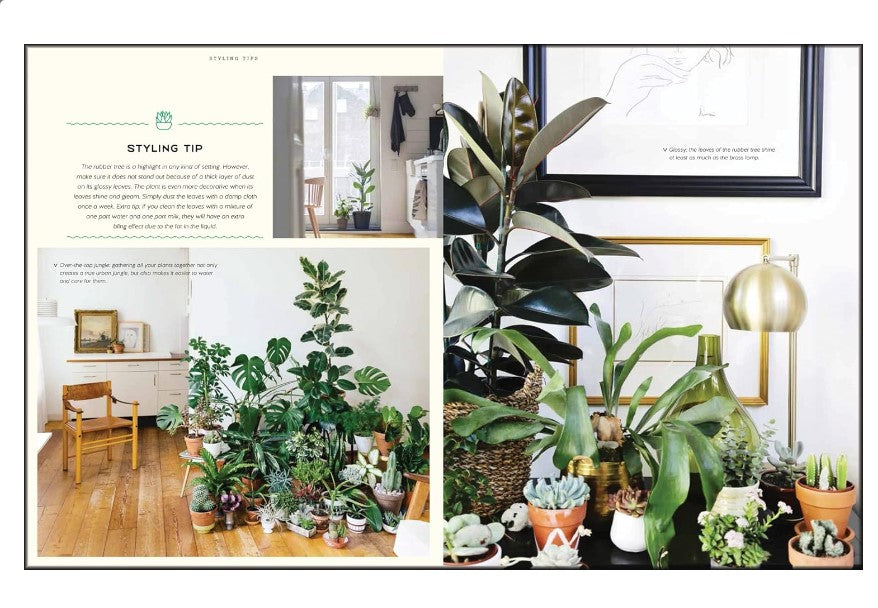 Urban Jungle Living & Styling with Plants