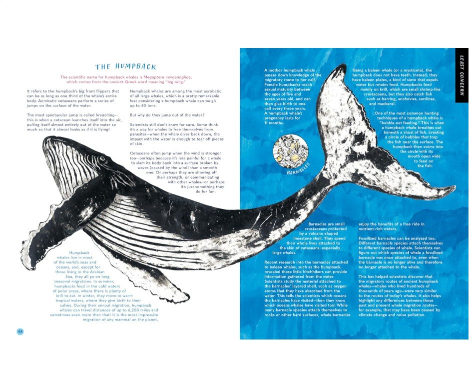 The Whale's Song