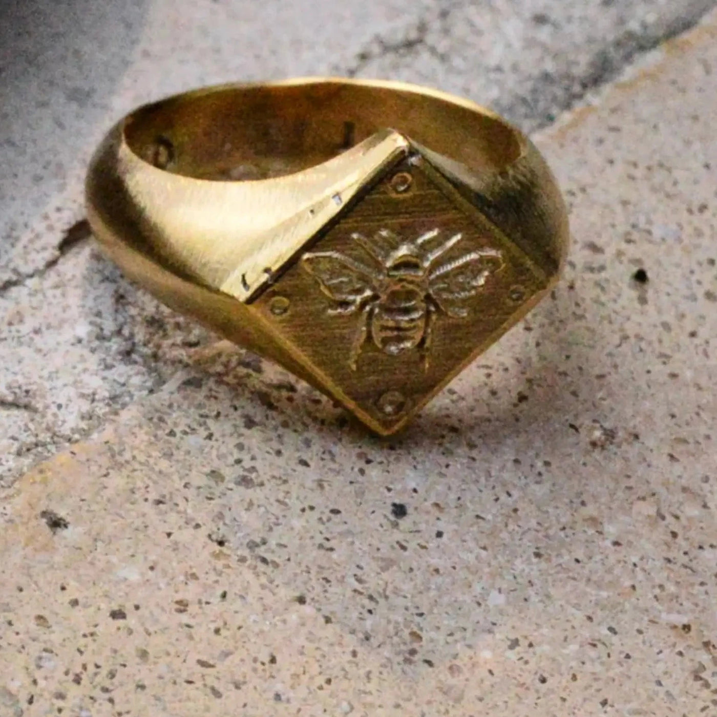 Friend of the Earth Signet Ring