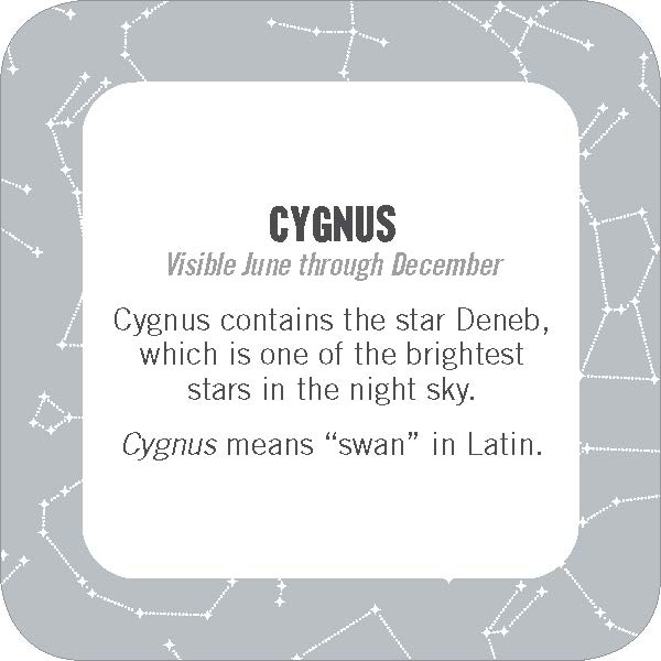 On-the-Go Amusements: 50 Constellations for Stargazing