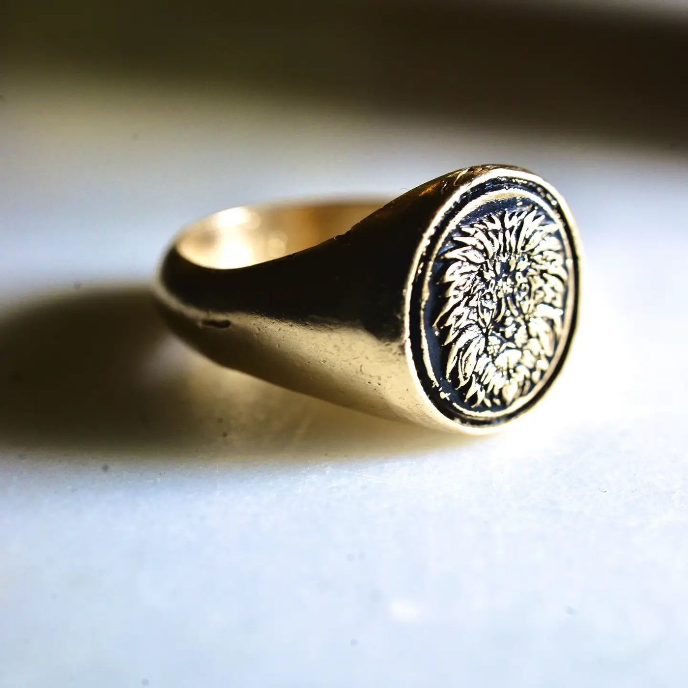 The Guardian Ring