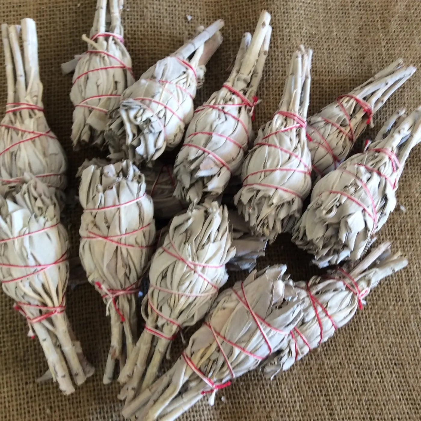 White Sage Mini Drumstick