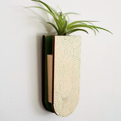 Mod Curves Skinny Pocket Wall Planter - Green