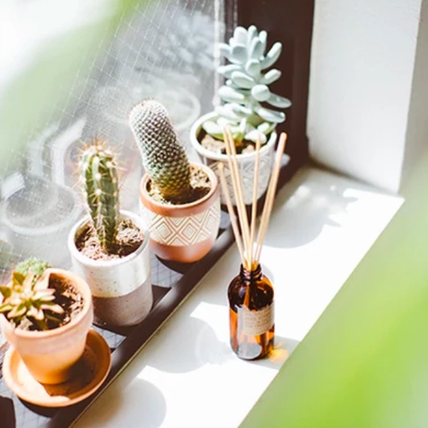 healthiest tobacco to smoke Is Herbal Smoking Good for Your Health?