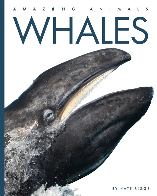 Amazing Animals - Whales